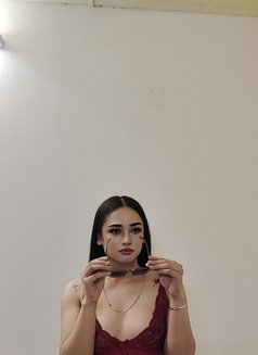 Lucy - Acompañante transexual in Doha Photo 9 of 10