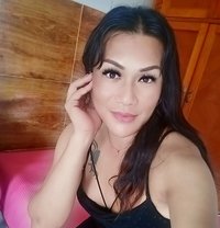 Lucy Trans - Transsexual escort in Bali