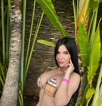 Lucy - escort in Beirut Photo 1 of 13