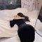 Lucy Wonderful Oil Body Massage - puta in Shanghai Photo 3 of 8