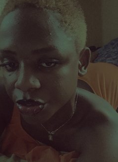 Luiousios - Transsexual escort in Nairobi Photo 2 of 5