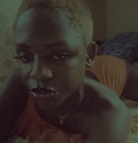 Luiousios - Transsexual escort in Nairobi