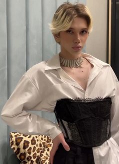 Luis 22 - Male escort in Baku Photo 7 of 8