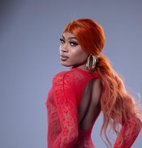 Luisa Arias - Acompañantes transexual in Barcelona