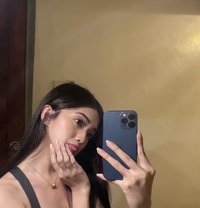 Alein - Transsexual escort in Manila