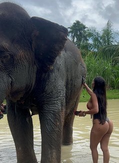 Luísa Rio de Janeiro 🇧🇷 INDEPENDENTE - puta in Dubai Photo 21 of 22