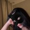 Lujain - escort in Abu Dhabi Photo 3 of 6