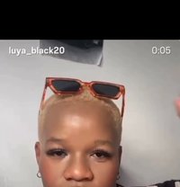 Lulu Bee - Transsexual escort in Cape Town