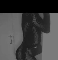 Lulu Bee - Transsexual escort in Cape Town