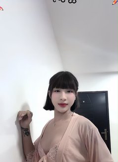 Lulu - Transsexual escort in Muscat Photo 3 of 4