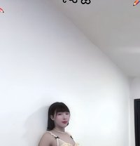 Lulu - Transsexual escort in Muscat