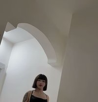 Lulu - Acompañantes transexual in Muscat