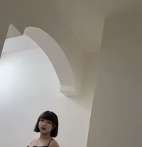 Lulu - Transsexual escort in Muscat
