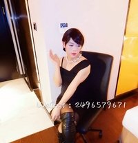 Lulu is waiting for you in Shanghai - Transsexual escort in Shanghai
