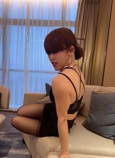 Lulu is waiting for you in Shanghai - Acompañantes transexual in Shanghai Photo 11 of 14