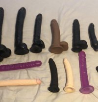 Lulu - escort in Chennai