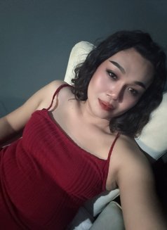 Lulu - Transsexual escort in Bangkok Photo 7 of 15
