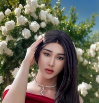 Lumia - Acompañantes transexual in Bangkok