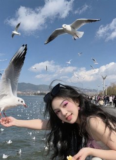 Luna - Transsexual escort in Singapore Photo 3 of 11