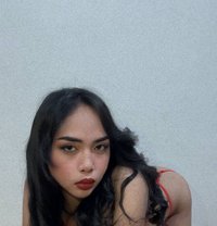 Luna - Transsexual escort in Manila