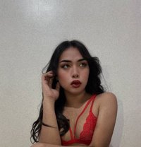 Luna - Acompañantes transexual in Manila