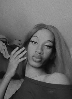 Luna - Acompañantes transexual in Nairobi Photo 1 of 1