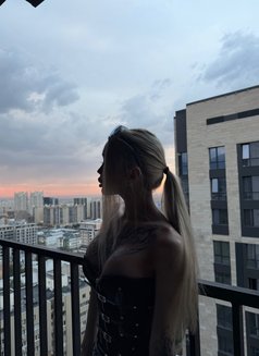 Luna - Transsexual escort in Riyadh Photo 6 of 13