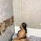 LUNA THE MOST EXPIRENCED DEEPTHROATER - escort in Abu Dhabi Photo 3 of 8