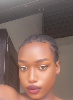 Luna Thee Stallion - Transsexual escort in Lagos, Nigeria Photo 9 of 11