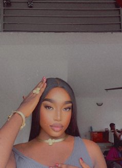 Luna Thee Stallion - Transsexual escort in Lagos, Nigeria Photo 12 of 15
