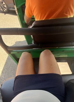 Luna Valentina Elite Luxury Companion | - Acompañantes transexual in Colombo Photo 9 of 24