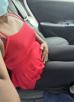 Luna Valentina Elite Luxury Companion | - Acompañantes transexual in Colombo Photo 17 of 24