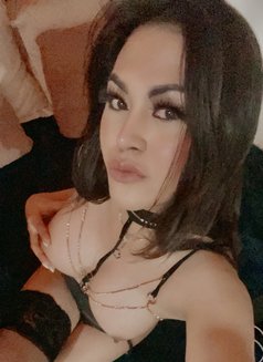 LunaValentina Filipina Ts - Transsexual escort in Dubai Photo 13 of 16
