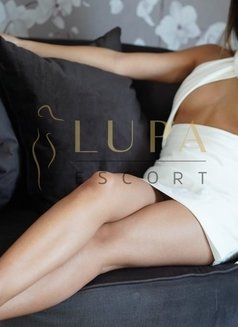 Lupa - escort in Cologne Photo 1 of 5