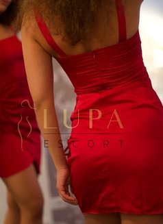 Lupa - escort in Cologne Photo 5 of 5