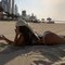 Lussy_in Dubai Marina - escort in Dubai