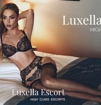 Luxella Escort - Agencia de putas in Zürich