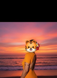 LUXUARY VVIP - escort in New Delhi Photo 4 of 4