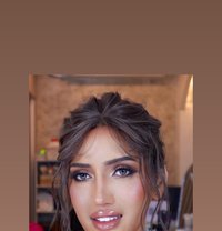Luxury D - Transsexual escort in Taipei