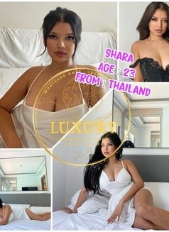 Luxury Escort Agrency - escort agency in Doha Photo 7 of 8