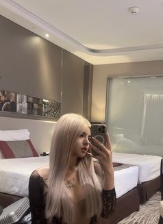 Luxury girl 🇪🇺🇹🇭 - puta in İstanbul Photo 24 of 27