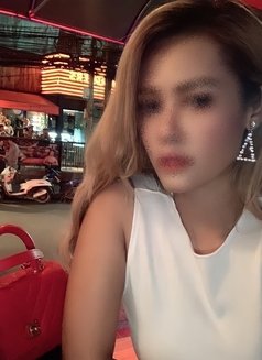 Luxury Thai Models - escort agency in Bangkok Photo 14 of 20