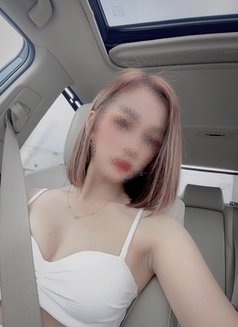 Luxury Thai Models - escort agency in Bangkok Photo 19 of 26