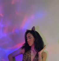 Luzi🇹🇷 - Transsexual escort in Riyadh