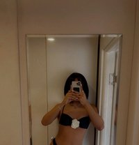 Luzii Turkey 🇹🇷 - Transsexual escort in Riyadh