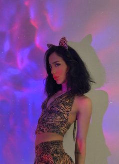 Luzii 🇹🇷 - Transsexual escort in Riyadh Photo 17 of 22