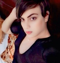 Lwdy - Transsexual escort in Al Sohar