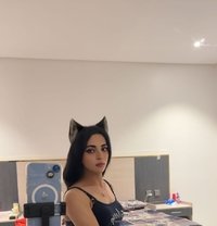 Lyda - Transsexual escort in Amman