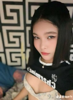 Lyka ( Meet • Camshow) - Transsexual escort in Manila Photo 4 of 4