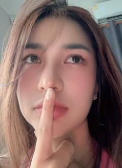 Lyly 300/2 Full Service - escort in Doha Photo 1 of 4